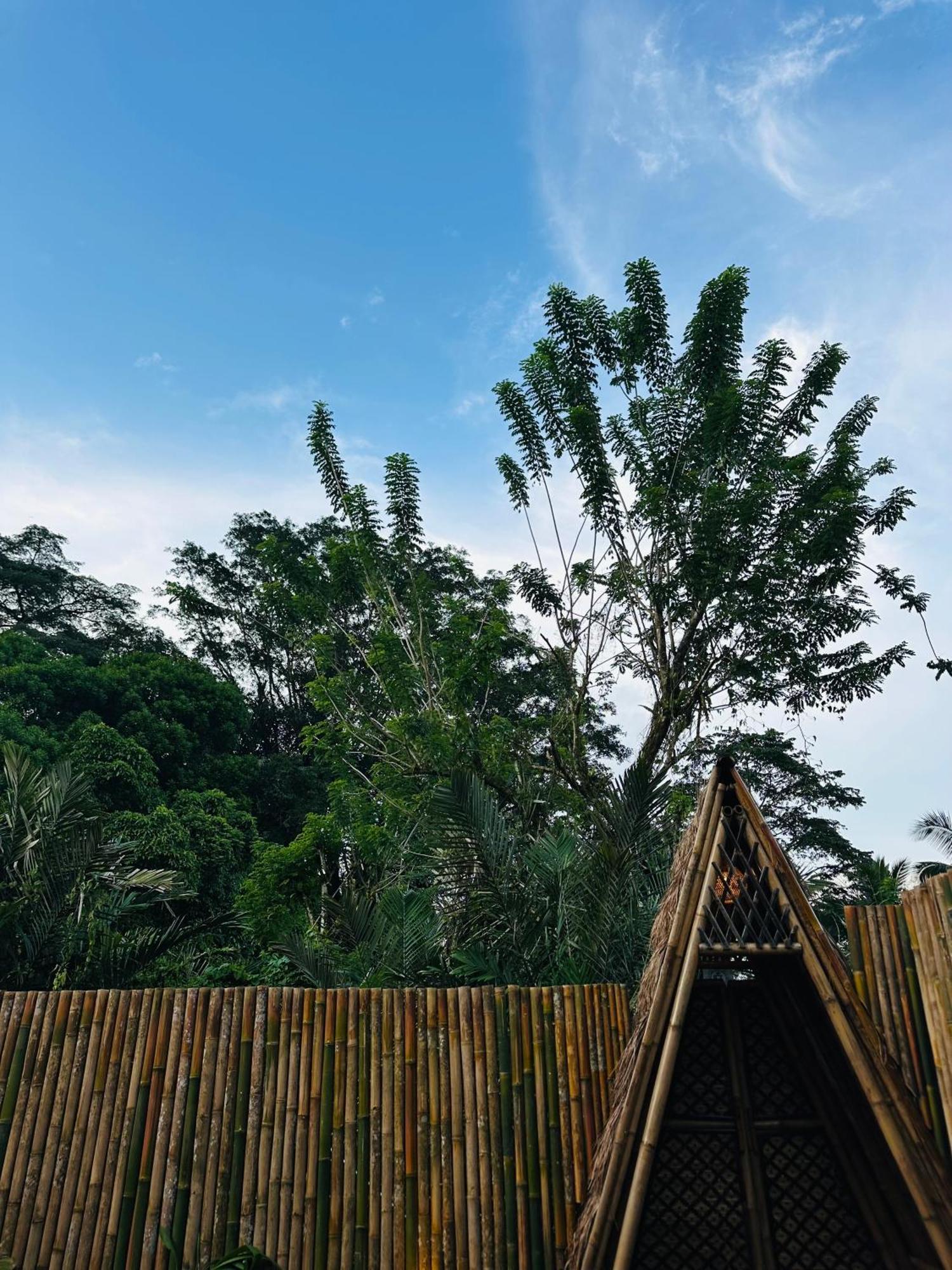Bamboo House - Ecobreeze Vila Sidemen  Exterior foto